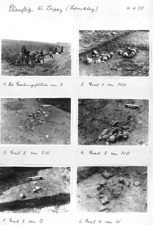 Leipzig-Plaußig: Ausgrabungen im bronzezeitlichen Urnenfriedhof am Schenkenberg, 1955