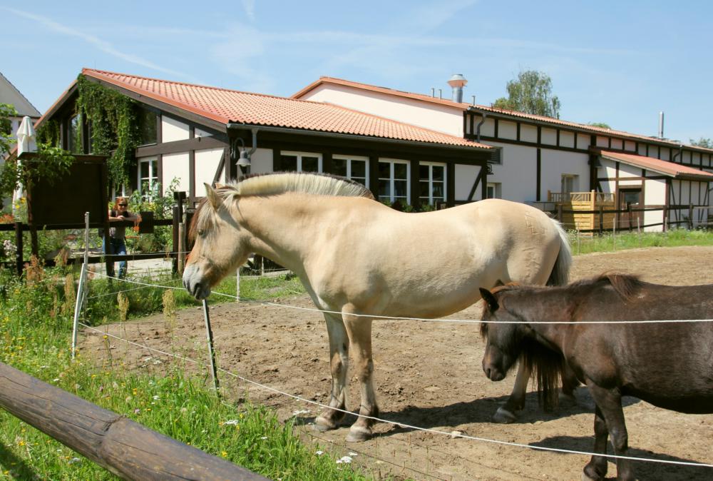 Grenzg nge Eine Radtour Durch Den Naturpark Barnim Http 