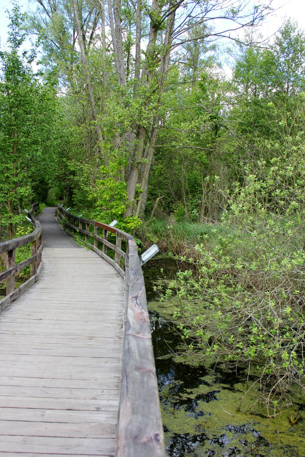 Grenzg nge Eine Radtour Durch Den Naturpark Barnim Http 