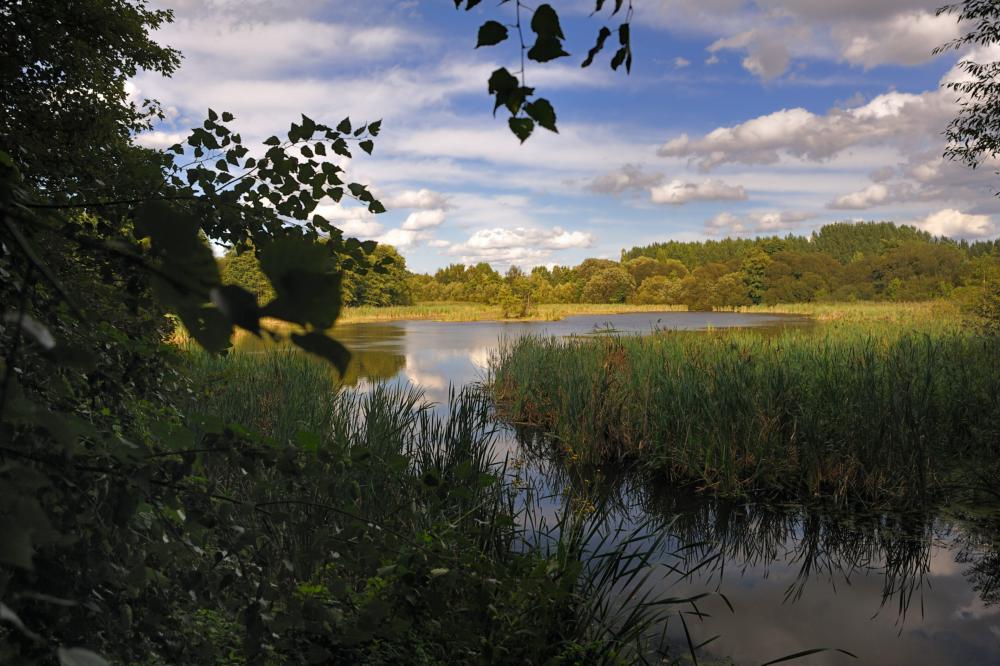 Entlang des Naturparkmeridians. Eine Radtour durch den Naturpark Barnim