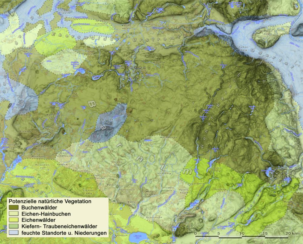 Abb. 17: Potenziell natürliche Vegetation (Quelle: Sixten Bussemer – Universität Greifswald)