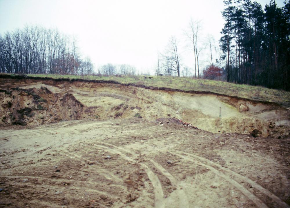 Abb. 2: Sandgrube Beiersdorf Anfang der 1990er Jahre