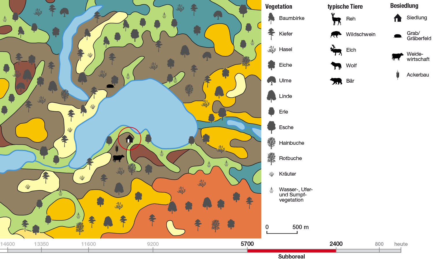 Abb. 8: Landschaft und Vegetation am Wandlitzer See im Subboreal – 5700–2400 Jahre vor heute