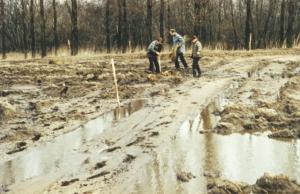Abb. 4: Pappelpflanzung unter schwierigen Bedingungen, 1985
