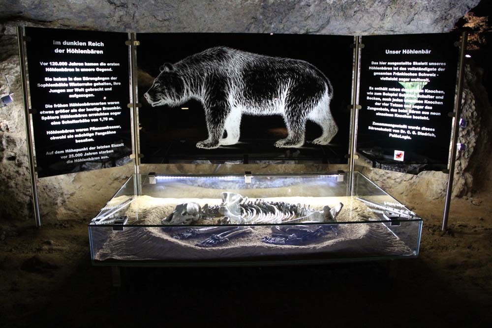 Abb. 14: Ausstellungsobjekte zum Höhlenbär in der Sophienhöhle