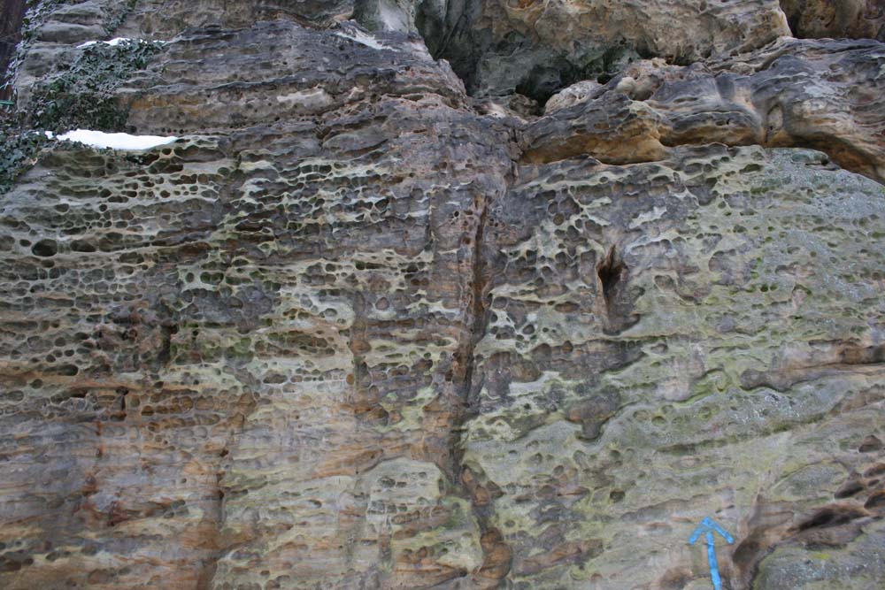 Abb. 2: Bröckellöcher im Sandstein am Hirtenstein
