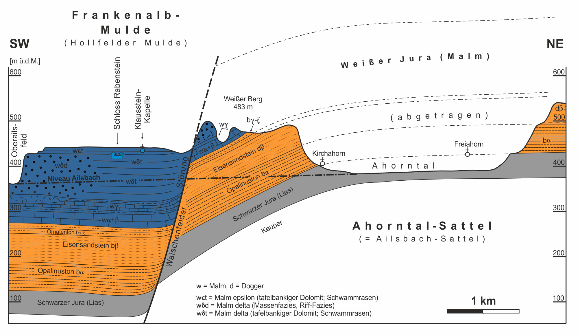 Abb. 8: Geologisches Profil durch die östliche Frankenalb-Mulde (Hollfelder Graben) und den Ahorntal-Sattel (Ailsbach-Sattel) über die Waischenfelder Störung (als Teilelement der Hollfelder Störung)
