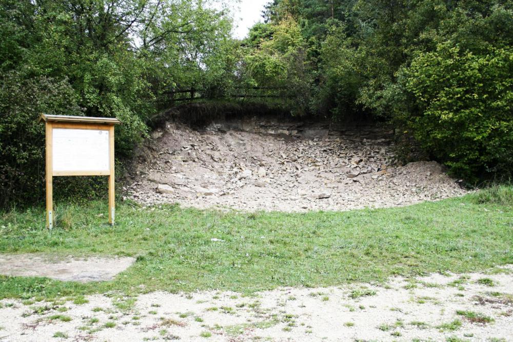 Abb. 8: Fossilienklopfplatz am Kordigast