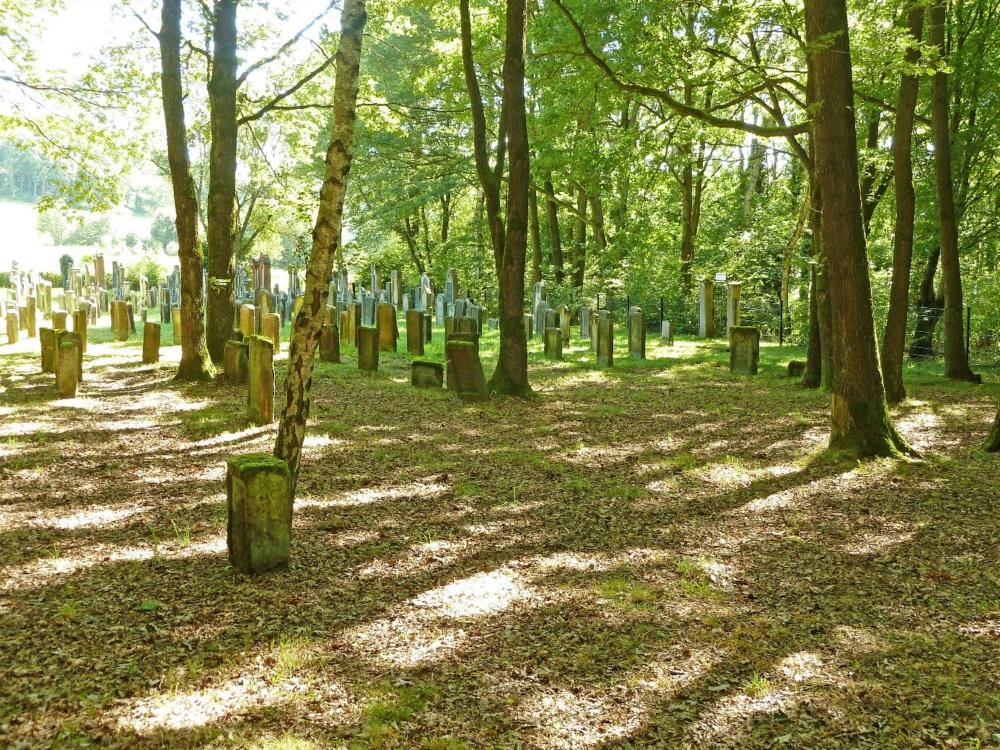 Abb. 8: Judenfriedhof von Zeckendorf
