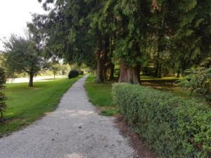 Abb. 5b: Schlosspark