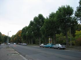 Karl-Tauchnitz-Straße 16, 2008