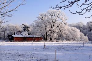Auwaldstation im Winter