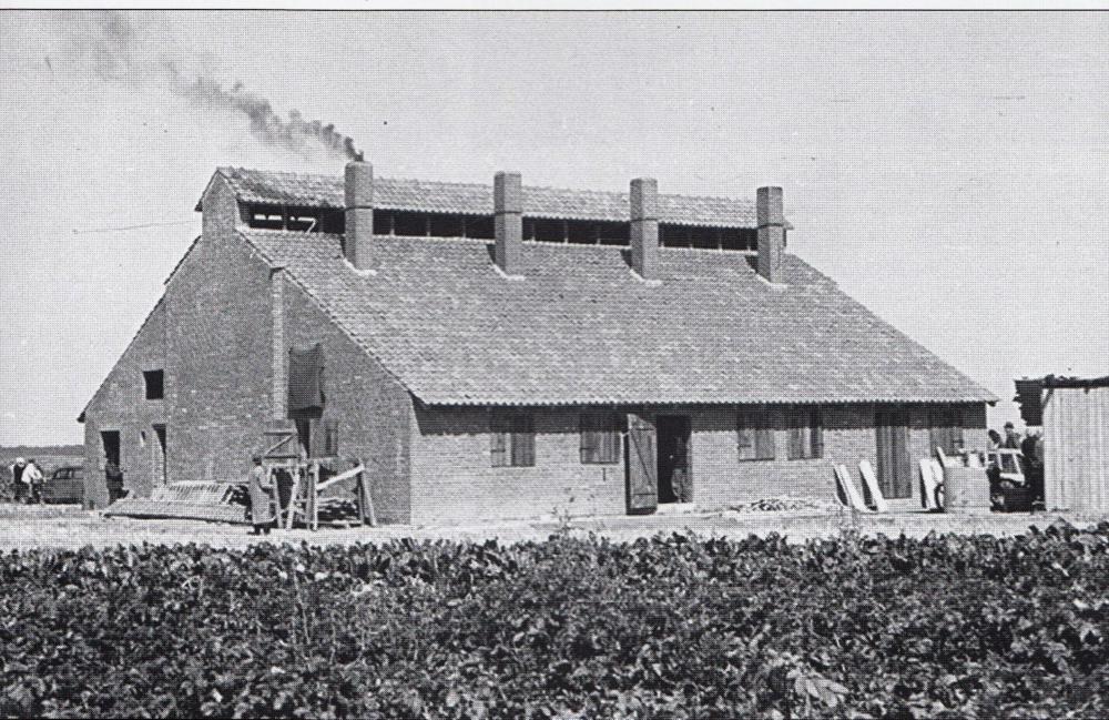 Röhrentrockenschuppen in Westerrode, aufgenommen um 1950