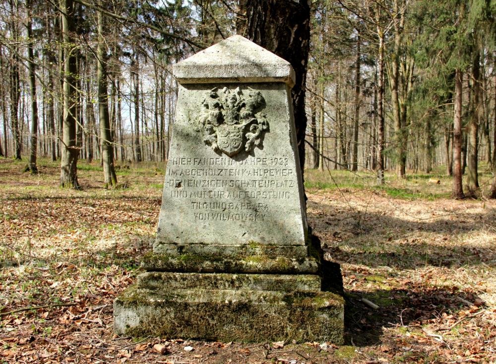 In einem Waldgebiet südlich von Flinsberg kündet ein gut erhaltener Gedenkstein von den Aufforstungen in den 1920er Jahren. Die Inschrift lautet: HIER FANDEN IM JAHRE 1922 IM ABGEHOLZTEN KAHLREVIER DEN EINZIGEN SCHATTENPLATZ UND MUT ZUR AUFFORSTUNG. TILO UND BARBARA VON WILMOWSKY.