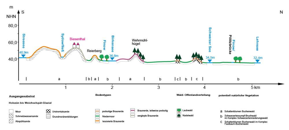 Abb. 18: Geoökologischer Schnitt durch den Nordabschnitt des Biesenthaler Beckens nach Berendt 1882, LBGR 2012 und LfB 2005, zusammengestellt von Axel Heise
