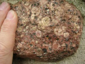 Abb. 7: Typisches Erscheinungsbild des Åland-Rapakiwi-Granits. Die Ovoide sind hier schwach angewittert und wirken eher hell. Die feinkörnige Grundmasse ist rötlicher gefärbt