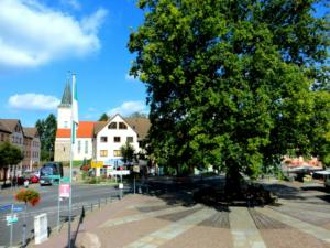 Abb. 2: Blick auf den Markt mit Jubiläumseiche und evangelischer Stadtkirche, 2015