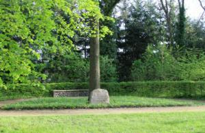 Abb. 18: Jahn-Eiche im Stadtpark