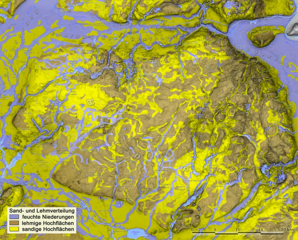 Abb. 5: Sand- und Lehmverteilung (Quelle: Geologische Übersichtskarte 1:300 000, aggregiert Sixten Bussemer – Universität Greifswald)