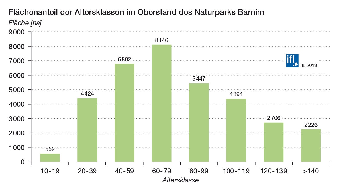Abb. 7: Flächenanteil der verschiedenen Altersklassen im Oberstand der Wälder des Naturparks Barnim