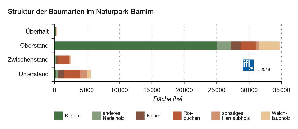 Abb. 8 Struktur der Baumarten im Naturpark Barnim im Ober- Zwischen- und Unterstand