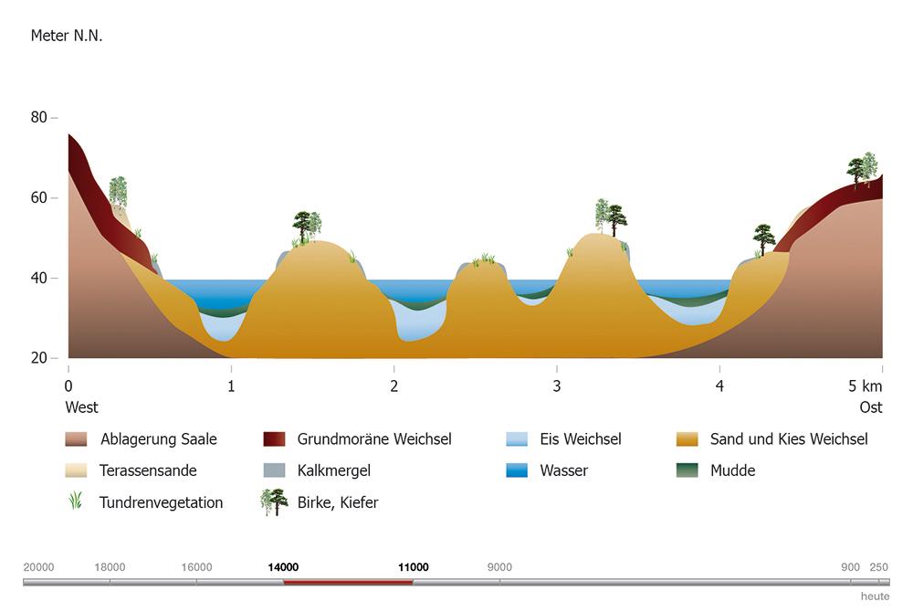 Abb. 4, Grafik 4: Lichte Wälder, Finowboden und Laacher Vulkanasche (14.000–11.000 Jahre vor heute)