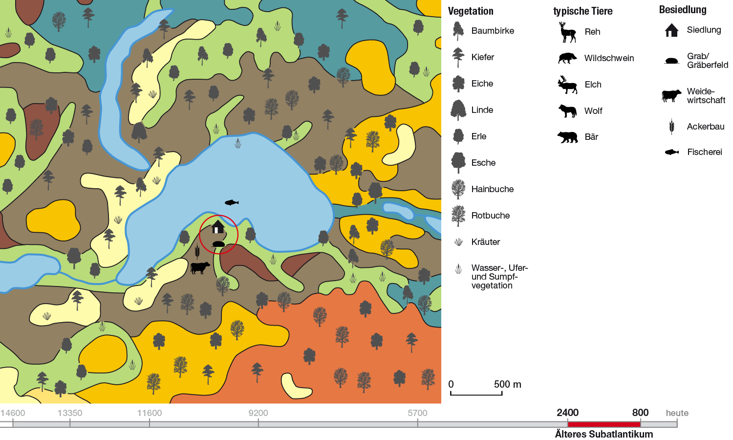 Abb. 9: Landschaft und Vegetation am Wandlitzer See im Älteren Subantlantikum – 2400–800 Jahre vor heute
