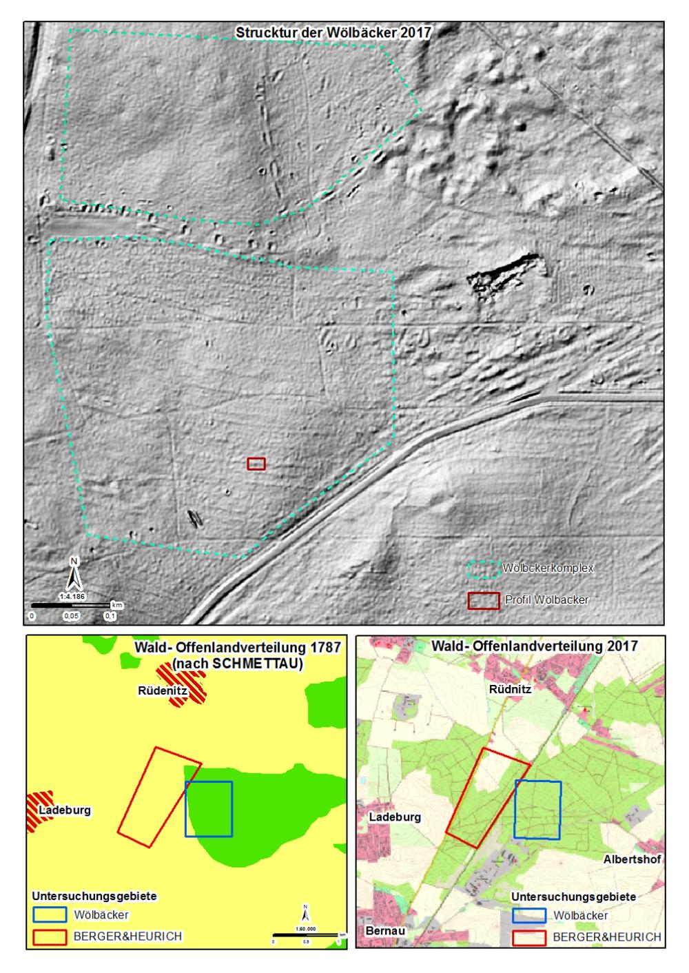 Abb. 3 oben: Relief der Wölbäcker, erkennbar auf einem Digitalen Geländemodell (GEOBASIS BRANDENBURG), unten: Darstellung der Wald-Offenlandentwicklung, basierend auf zwei Zeitebenen