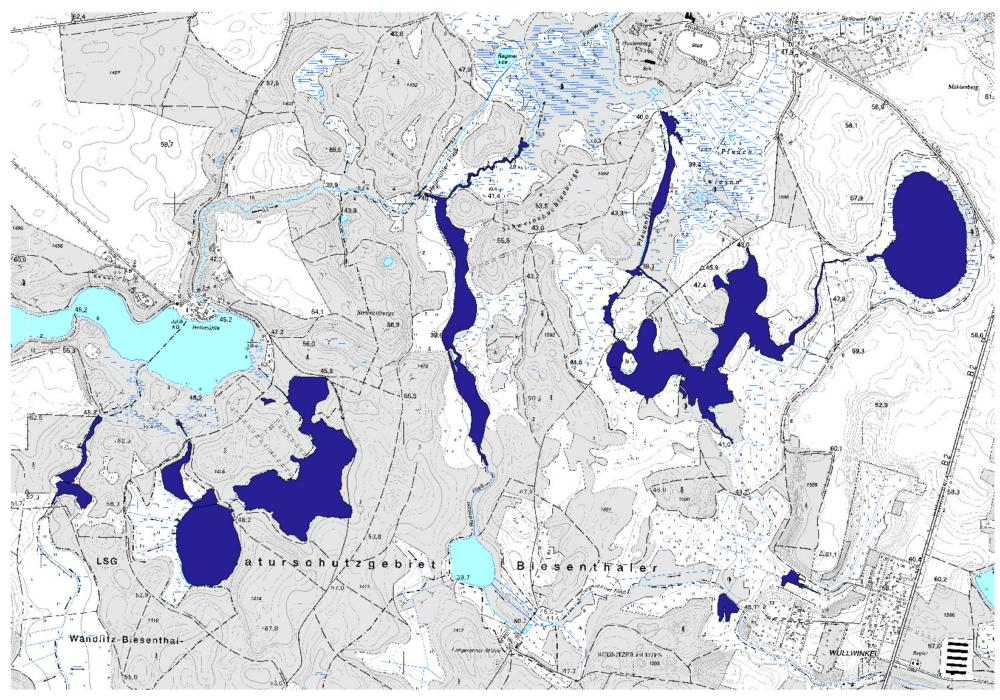Abb. 11: Vom Biber geschaffene Überflutungsflächen im Biesenthaler Becken im Jahr 2019