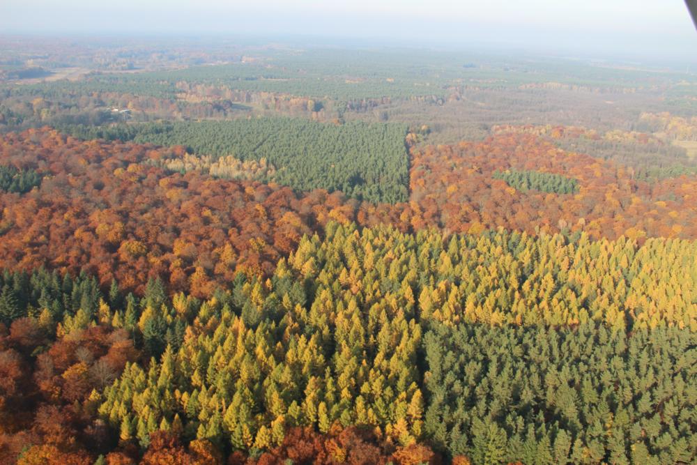 Abb. 2: Waldreichtum bei Eberswalde