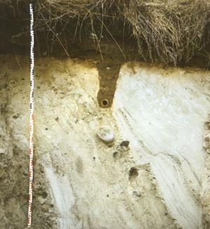 Abb. 3: Typischer Rieselfeldboden mit mächtiger Humusauflage, Drainagerohr und sandigem, hier durch Toteisaustau gestörtem Filtergerüst