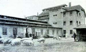Abb. 9: Fleischwerke Hobrechtsfelde um 1925