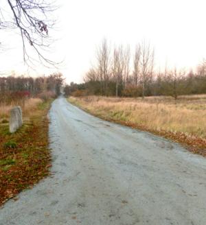 Abb. 13: Instand gesetzter Radwanderweg zum Gorinsee, 2012