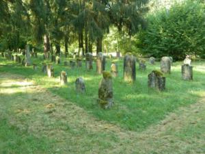Abb. 25: Gräberreihen auf dem jüdischen Friedhof von Pretzfeld auf dem Judenberg