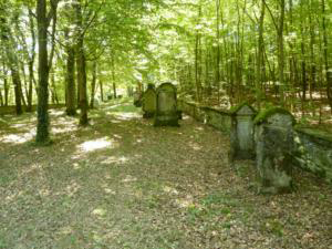 Abb. 9: Der jüdische Friedhof von Heiligenstadt heute, mit seinem schütteren Bestand von Gräbern, die allesamt vor dem 20. Jahrhundert entstanden sind.
