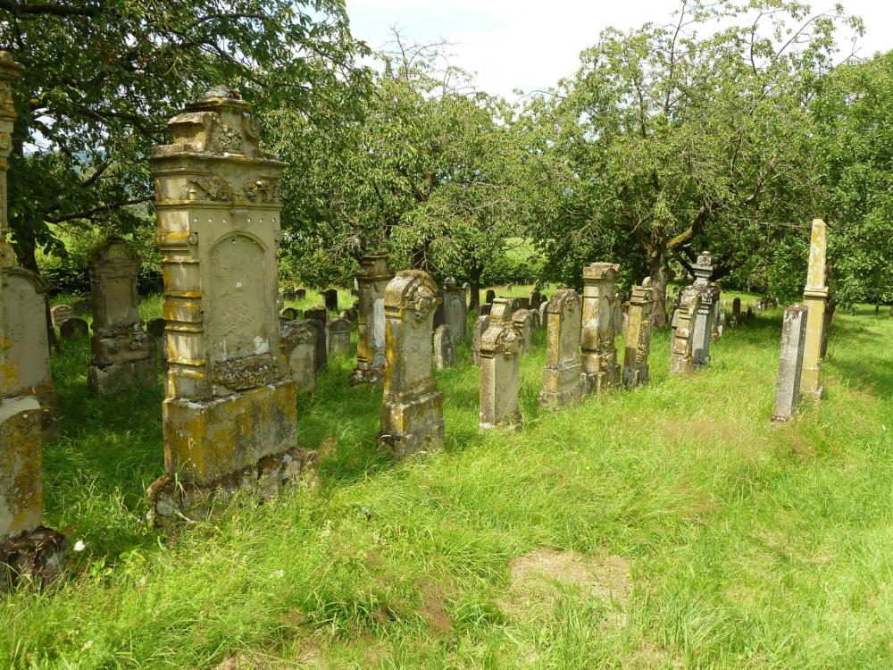 Abb. 29: Der Hagenbacher Friedhof, der zu keiner Zeit geschändet worden ist und heute inmitten einer Streuobstanlage von Kirschbäumen liegt, ist ein ganz besonders eindrucksvoller jüdischer Begräbnisplatz.
