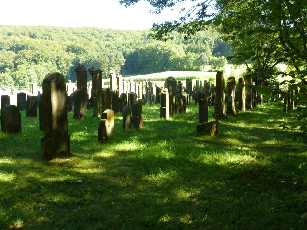 Abb. 6: Der Judenfriedhof von Zeckendorf erstreckt sich zum Teil inmitten eines Wäldchens, zum Teil (wie hier) unmittelbar am Waldrand.