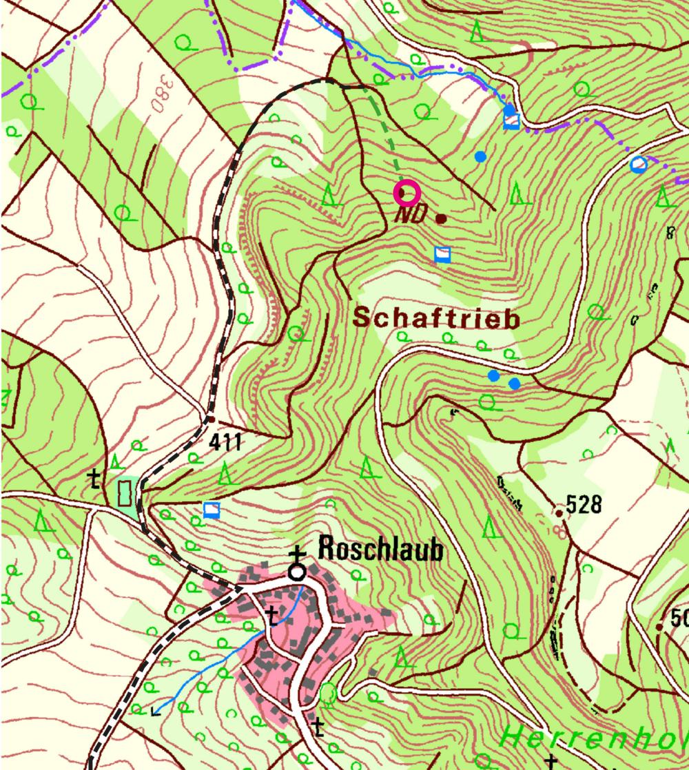 Abb. 1: Ausschnitt aus der TK25 um Roschlaub: Lage der Steinernen Rinne (roter Kreis) mit Zufahrtsweg (schwarz gestrichelt) und Fußstrecke (grün gestrichelt)