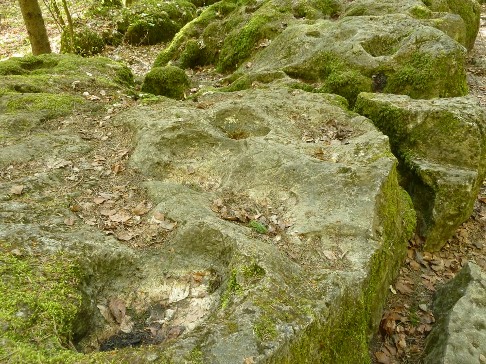 Abb. 18: Die Felsen im Bereich des Druidenhains zeigen die Verwitterungsform der Opferkessel – was zu Spekulationen über ihre Entstehung und Funktion für die Menschen in der Vergangenheit führte.