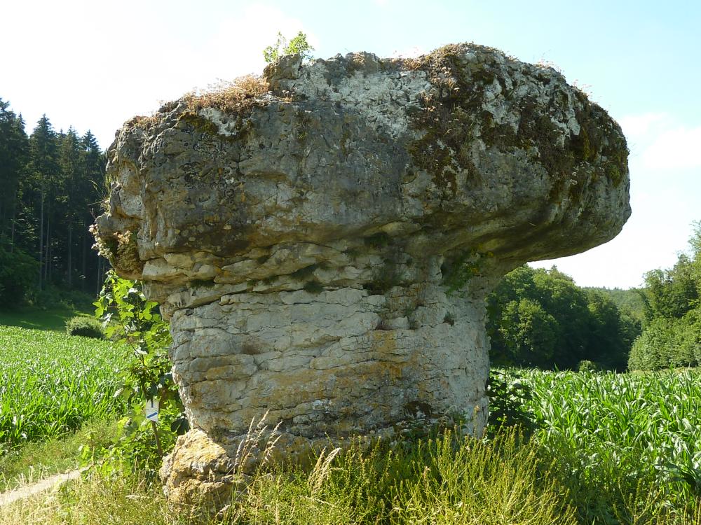 Abb. 23: Der Teufelstisch, auch Kachelstein genannt, nördlich von Wohlmuthshüll: Eine pilzartig erscheinende Verwitterungsform im Malm