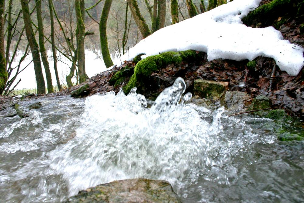 Abb. 27: Der Urspring bei Haselbrunn sprudelt zum Zeitpunkt starker Wasserschüttung wie ein Springbrunnen.