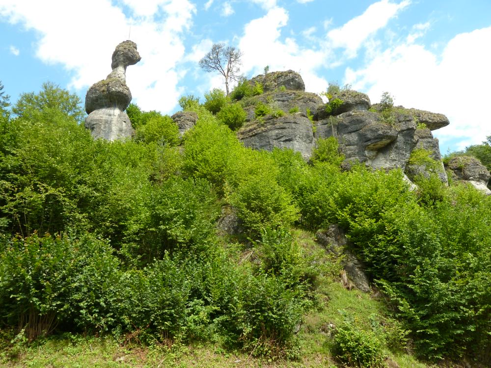 Abb. 33: Dolomitfelsen an der Mündung des Klumpertales in den Weihersbach, nahe der Schüttersmühle: Links ist der alleinstehende Felsen des Weihersthaler Männchens erkennbar, der bereits in der Uraufnahmekarte von 1834 mit diesem Namen erwähnt wird.