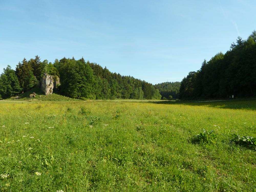 Abb. 7: Blick von Süden in das Trockental Teichgrund: Links ist der Fels des Sulzenstein erkennbar.