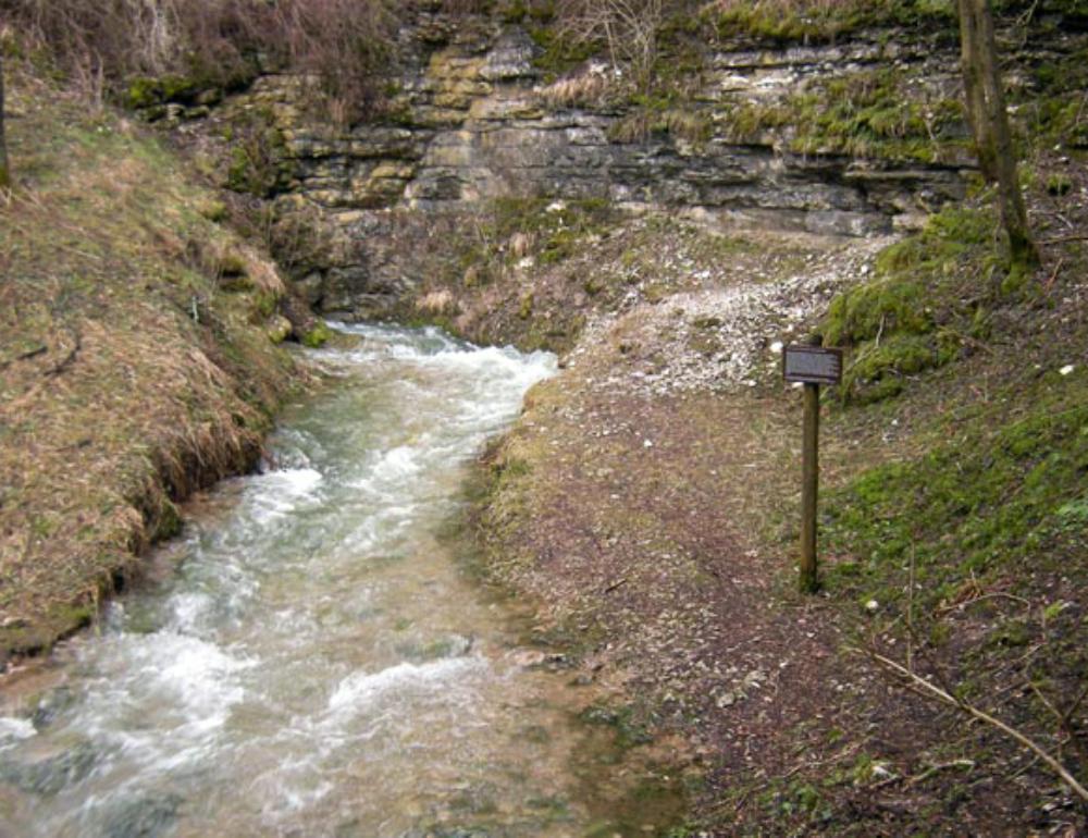 Abb. 10: Der Kleine Tummler im Leinleitertal am 4. März 2009: Erkennbar ist ein stattlicher Wasserlauf, der wie ein reißender Bach auftritt und der unterhalb der Kante mit der Felsschichtung im Malm entspringt. Dieses Naturphänomen dauert aber jeweils nur wenige Tage.