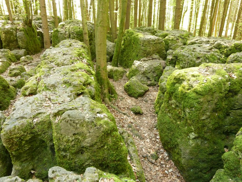 Abb. 19: Der Druidenhain: eine wie aus zugehauenen Felsblöcken erscheinende Felslandschaft