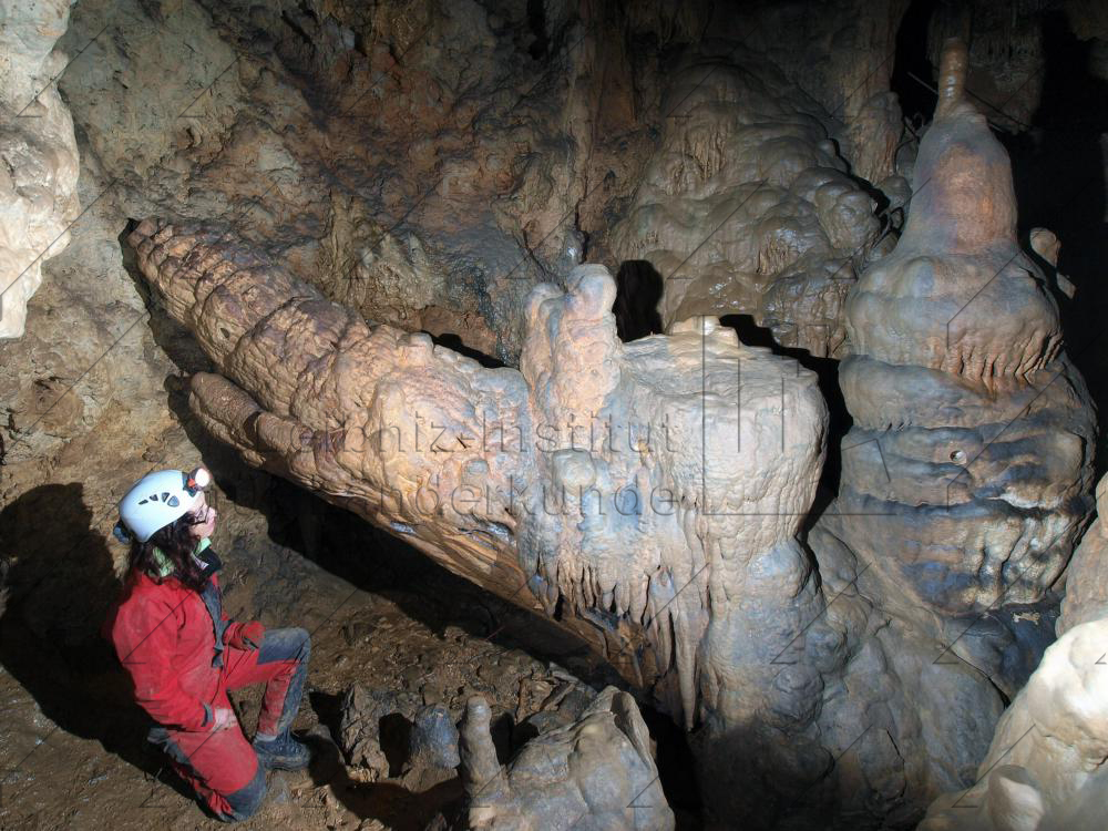 Abb. 11: Umgestürzter Stalagmit mit aufgewachsenen jüngeren Tropfsteingenerationen in der Zoolithenhöhle bei Burggaillenreuth