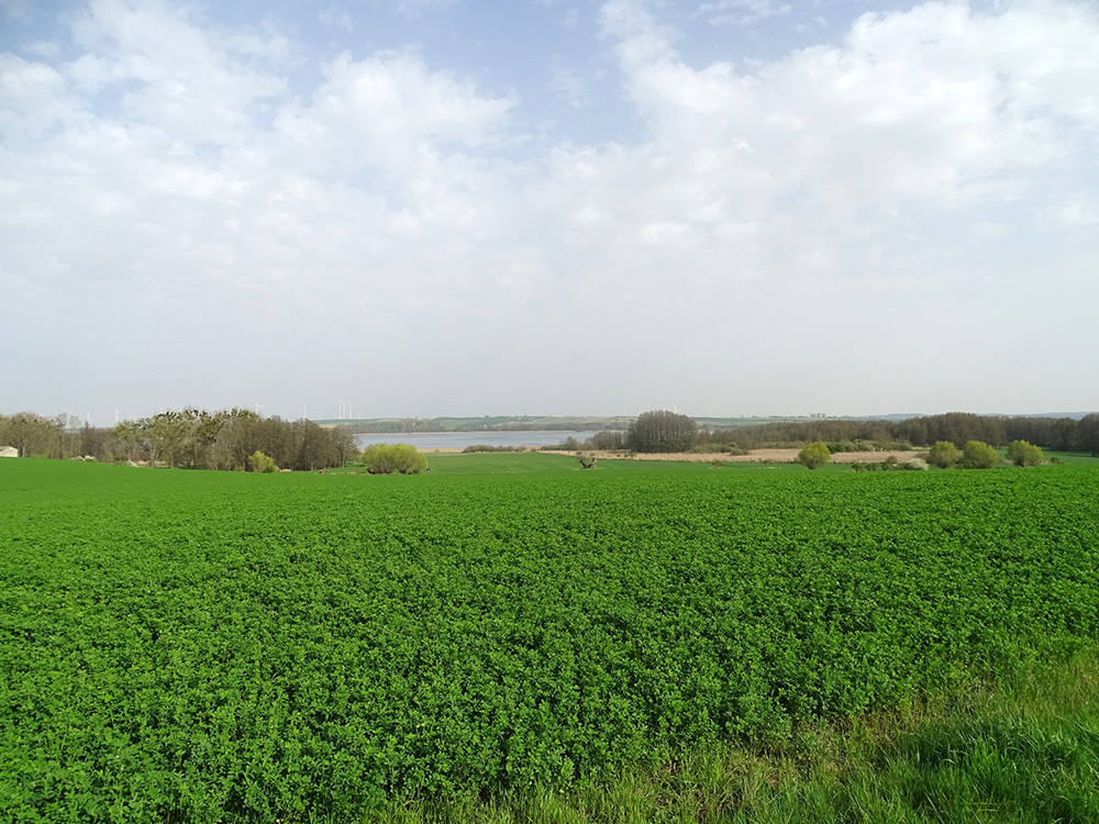 Abb. 16: Unteruckersee bei Zollchow