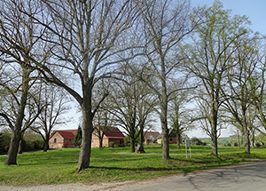 Abb. 15: Sternhagen, Blick über den Dorfplatz
