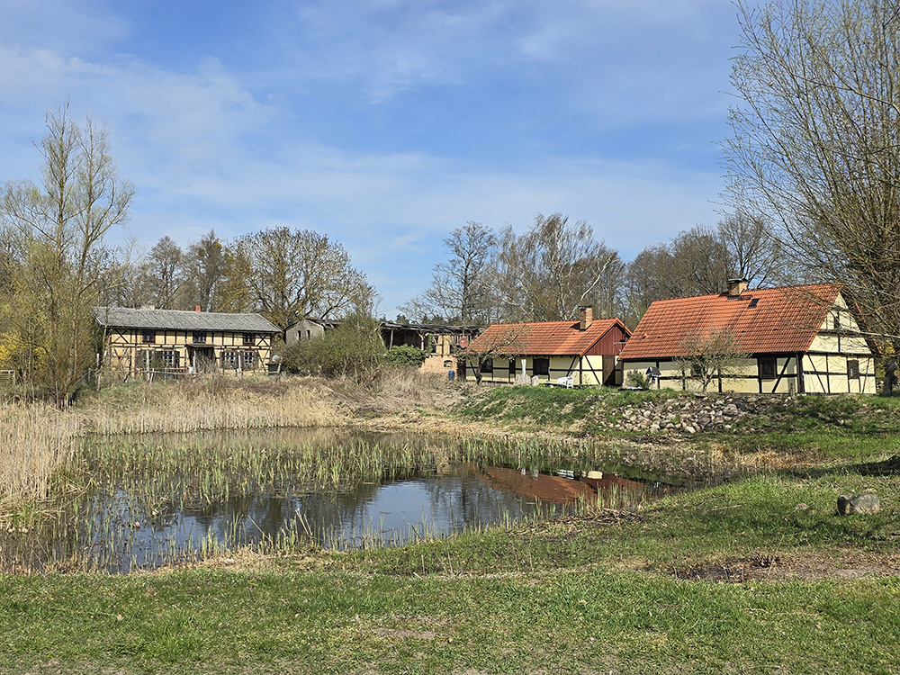 Abb. 7: Dorfteich in Buchholz