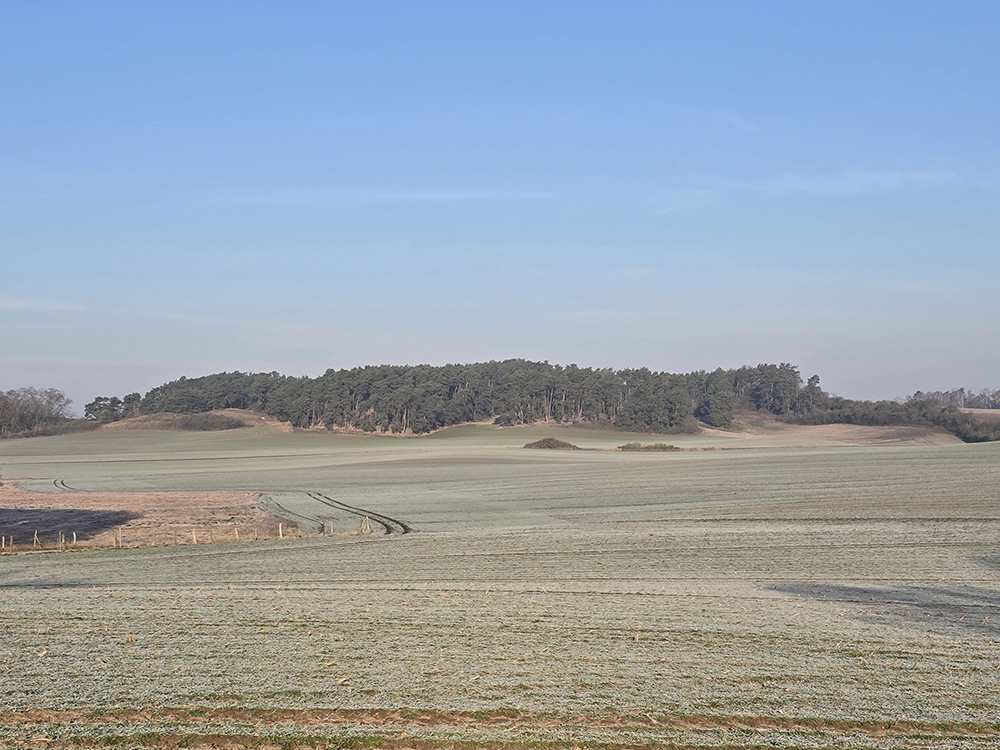 Abb. 2: Rathsberge zwischen Lindenhagen und Schmachtenhagen